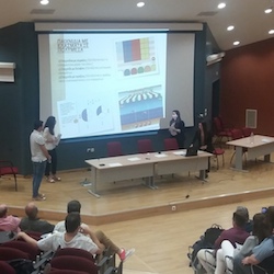 Teaching Internships at Schools and the Teaching of Mathematics